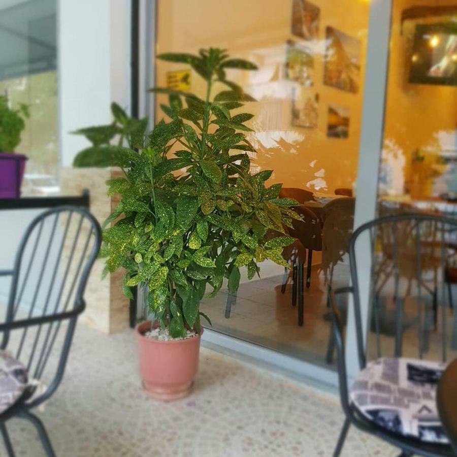 Përmet Dimitri Guest House מראה חיצוני תמונה